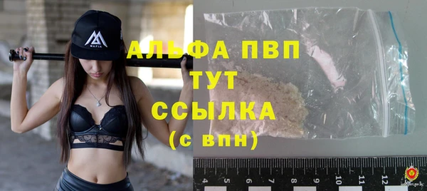 сатива Вязьма