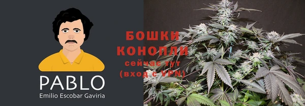 сатива Вязьма