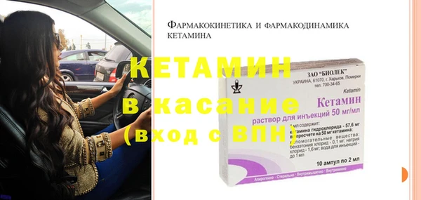сатива Вязьма
