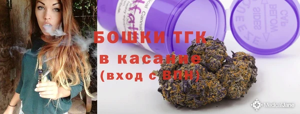 тгк Инта