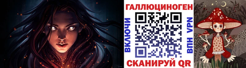 mega зеркало Елец Галлюциногенные грибы Psilocybe